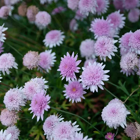 Appartement Soula's *