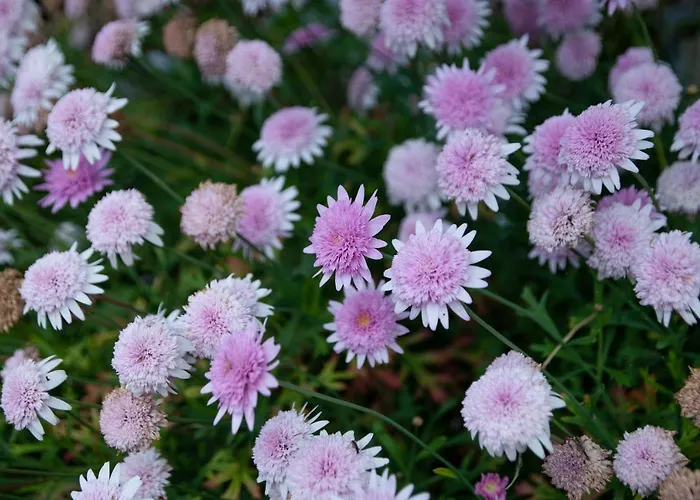 Appartement Soula's *